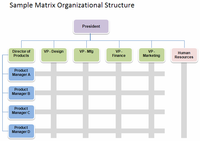 company structure. Organizational Structure