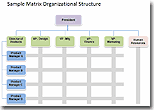 Contoh Struktur Organisasi Matrix