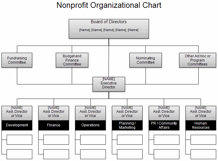 Non-Profit Organization Sample Nonprofit Organizational Chart