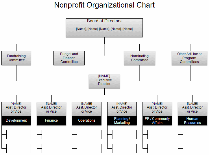 Stb Org Chart