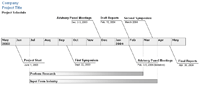 Example Project Timeline