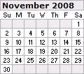 November 2008 Calendar 120x106