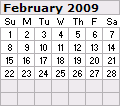 February 2009 Calendar 120x106