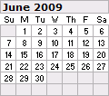 June 2009 Calendar 120x106