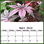 Photo Calendar
