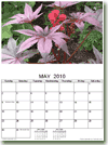 Free Printable Calendars - Landscape