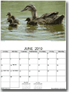 Free Printable Calendars - Landscape