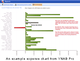 Example Expense Chart from YNAB