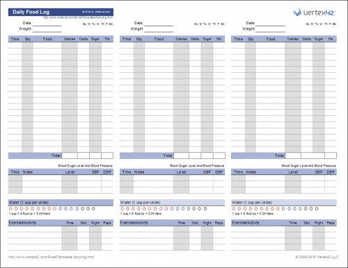 Daily Food Log Template for Excel