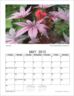Vertex42's Photo Calendar Template