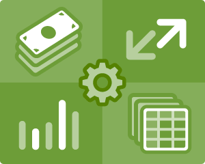 Money Management Template